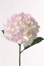 Hortensia roze/wit, ø20cm 68cm